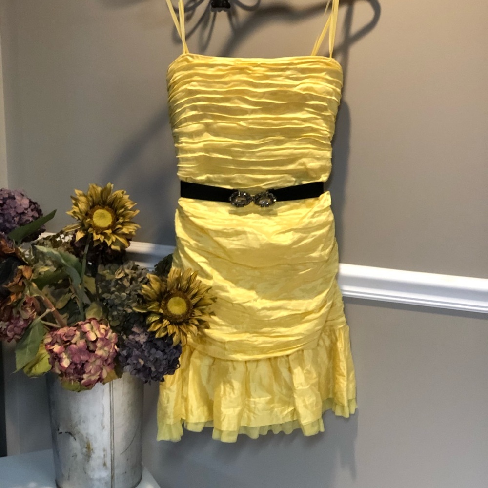 BCBG Max Azria dress, NWT